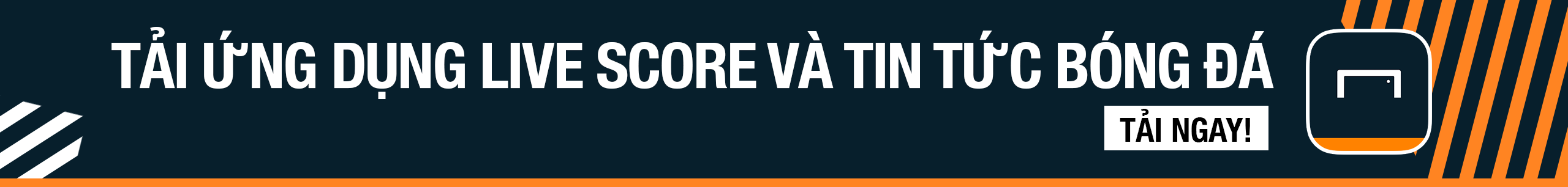 的积极维护 的积极维护