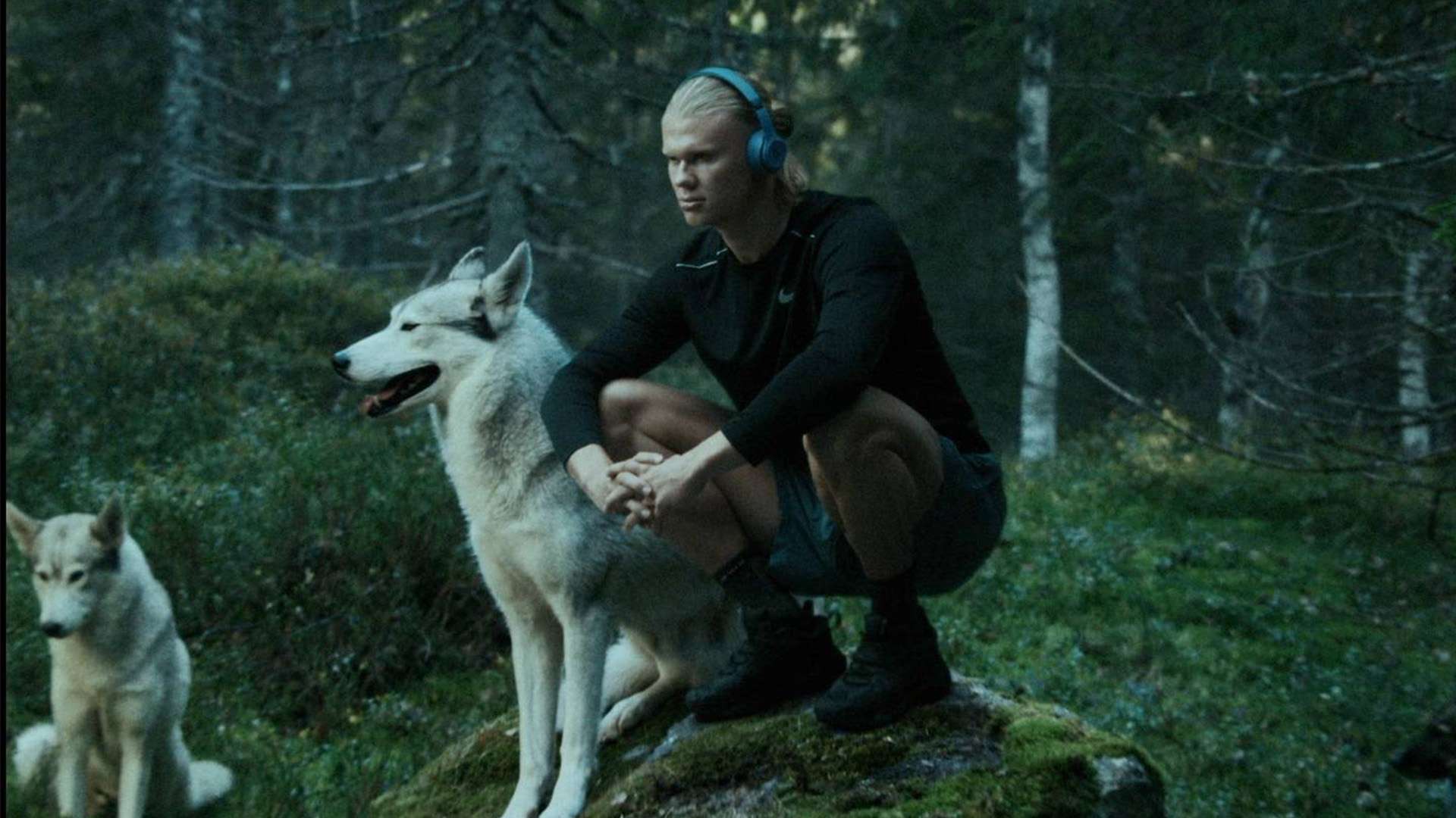 通过此次会 通过此次会