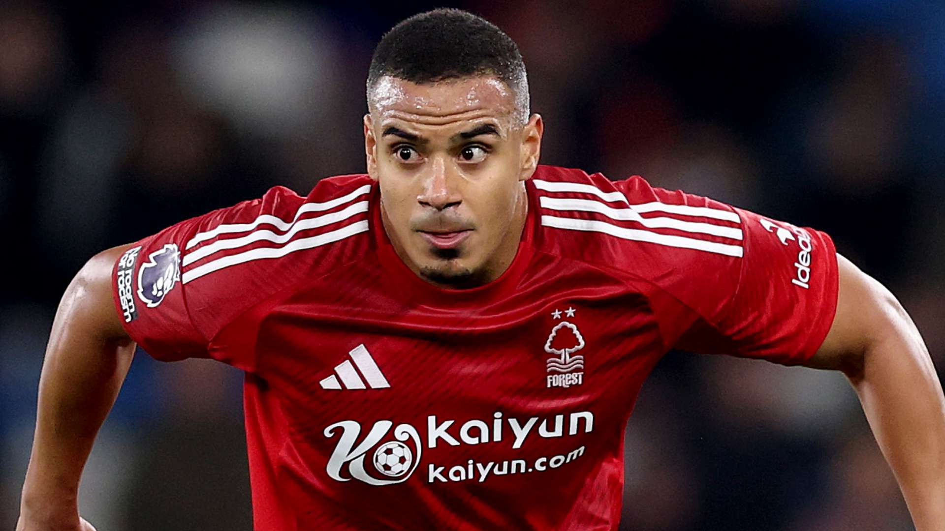 特别是涉及 特别是涉及