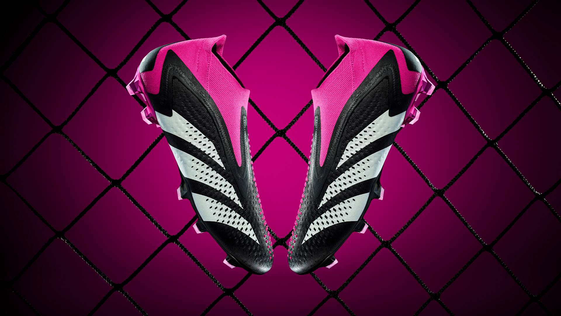 这不仅是一 这不仅是一